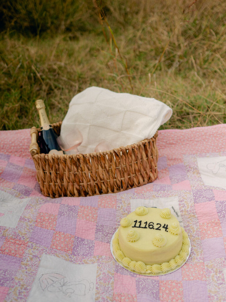 A cake and a basket with a bottle of champagne in it sit on a picnic blanket in a park.