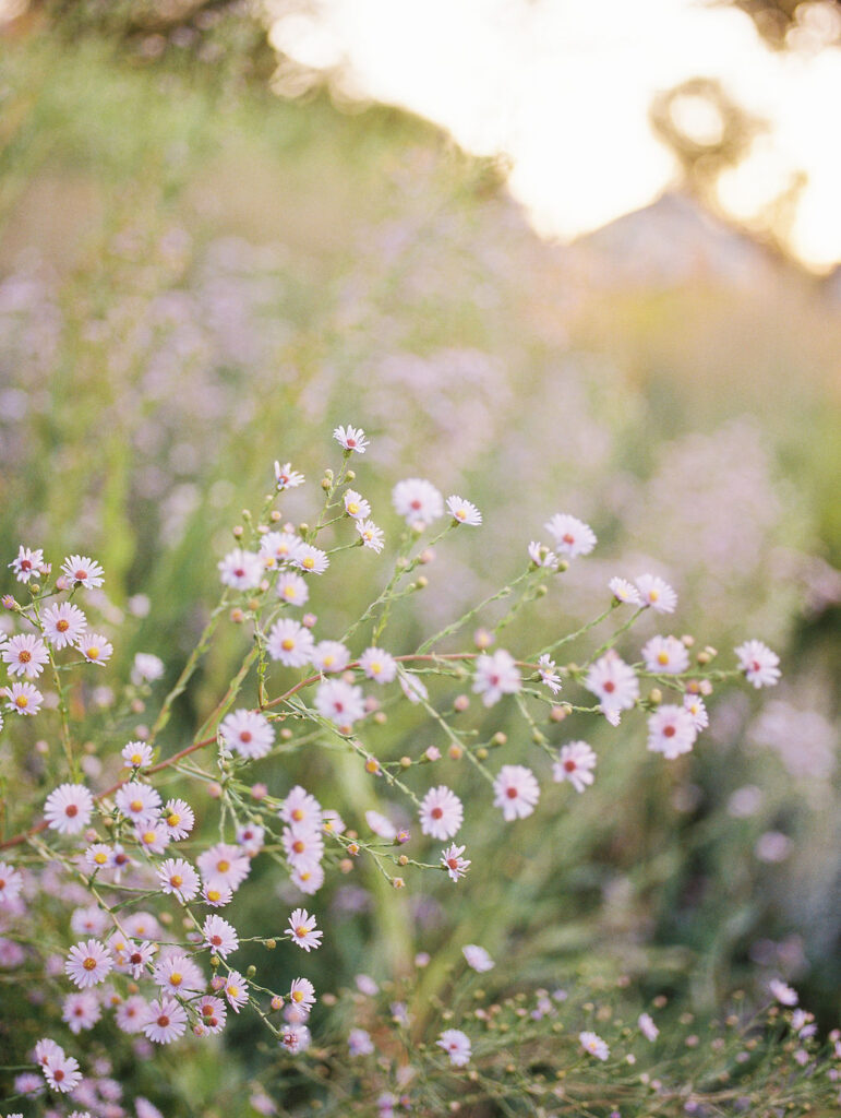 Washington Park, Denver Colorado